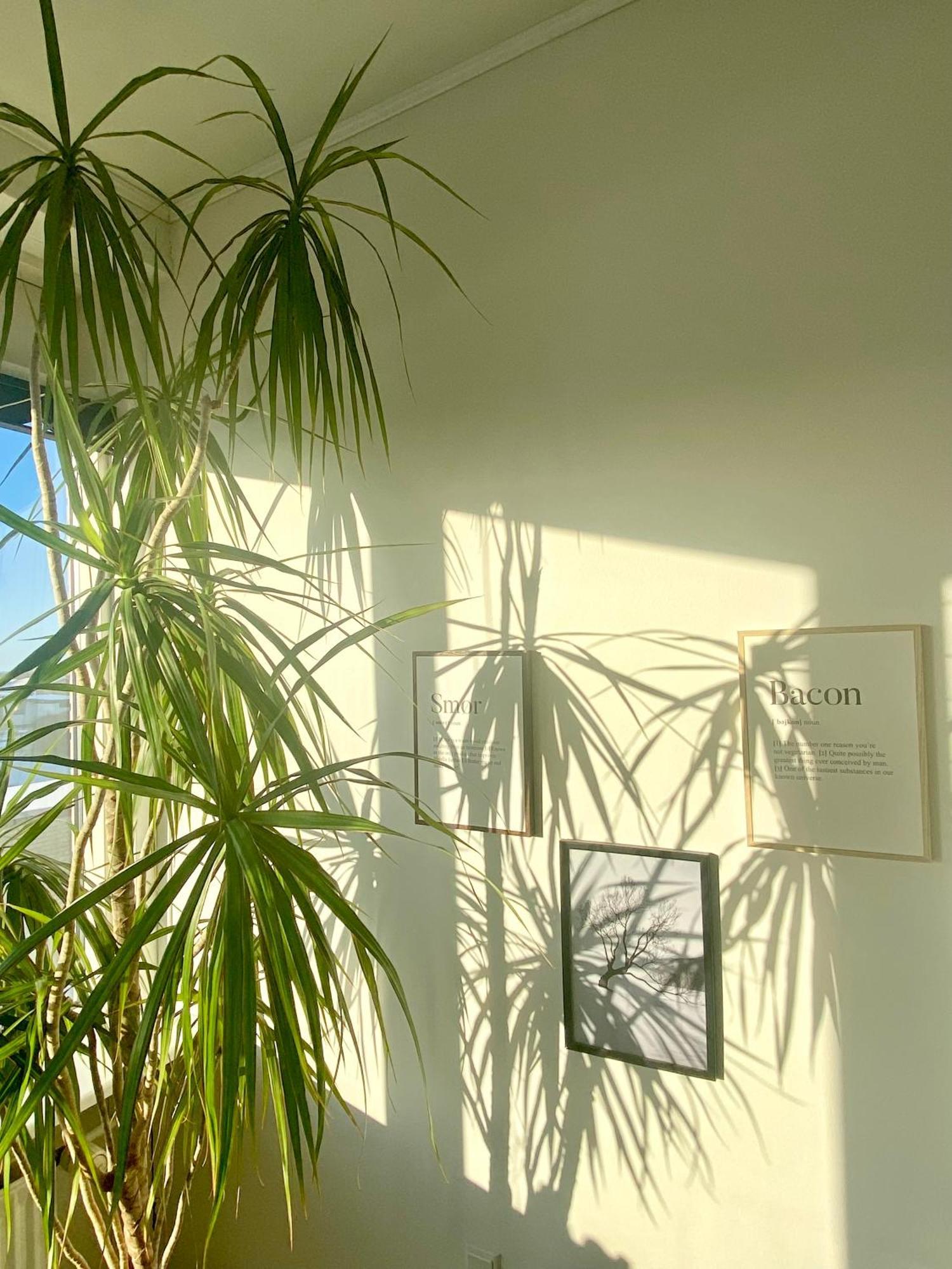 New Apartment - Close To City Center Randers Esterno foto